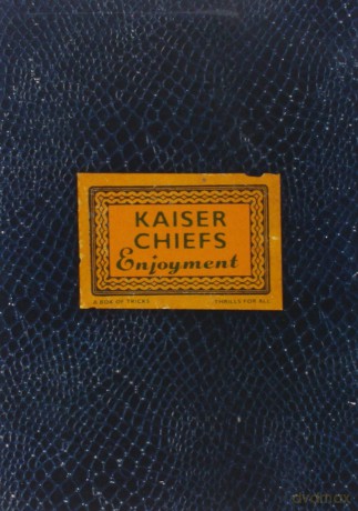 Kaiser Chiefs: Enjoyment [DVD]