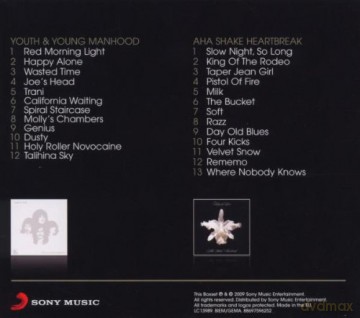 Kings Of Leon: Youth And Young Manhood - Aha Shake Heartbreak [2CD]