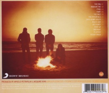 Kings Of Leon: Come Around Sundown [CD]
