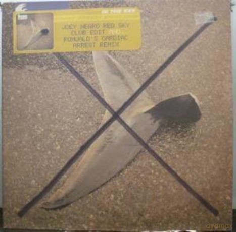 Laurent Ernest Saint: In The Sky [Winyl]