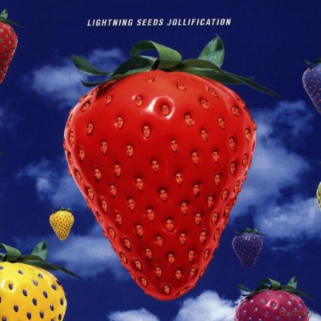 Lightning Seeds: Jollification [CD]