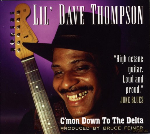 Lil Dave Thompson: Cmon Down To The Delta A Fitting Memoria [CD]