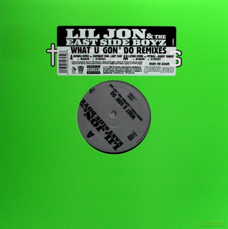 Lil Jon & East Side Boyz: What U Gon Do [Winyl]