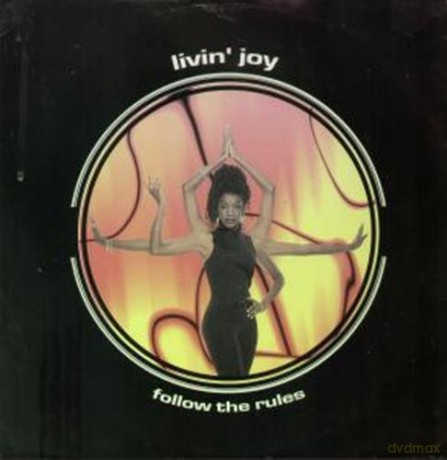 Livin Joy: Follow The Rules [Winyl]