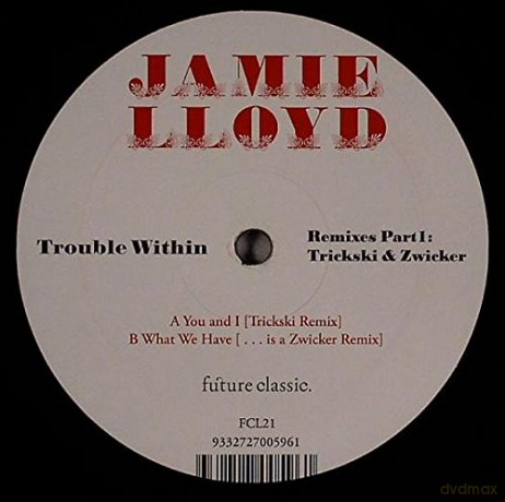 Lloyd Jamie: Trouble Within [Winyl]