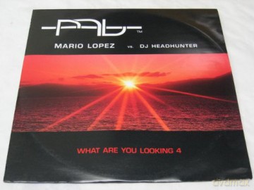 Lopez Mario Vs Dj Headhunter: What Are You Looking For 4 [Winyl]