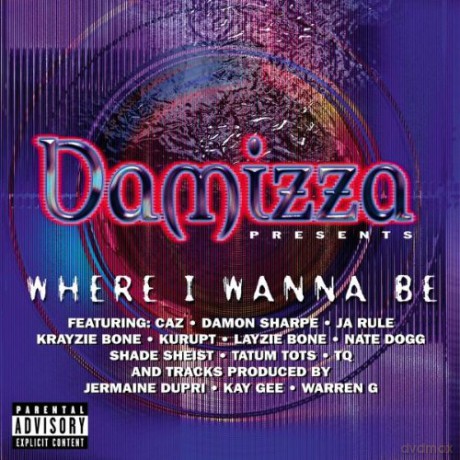 Damizza: Damizza Presents...Where I Wan [CD]