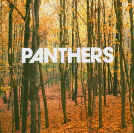 Panthers: Things Are Strange [CD]
