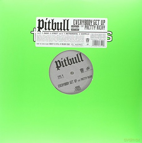 Pitbull Featuring Pretty Ricky: Everybody Get Up [Winyl]