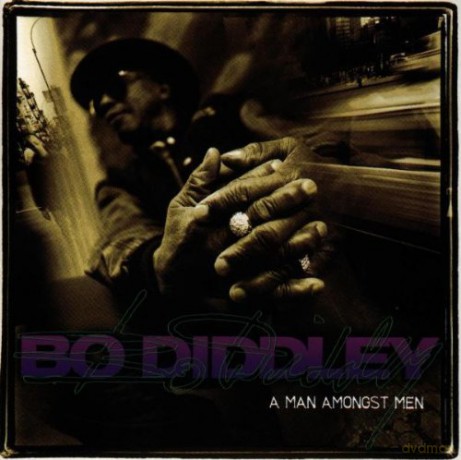 Bo Diddley: A Man Amongst Men [CD]