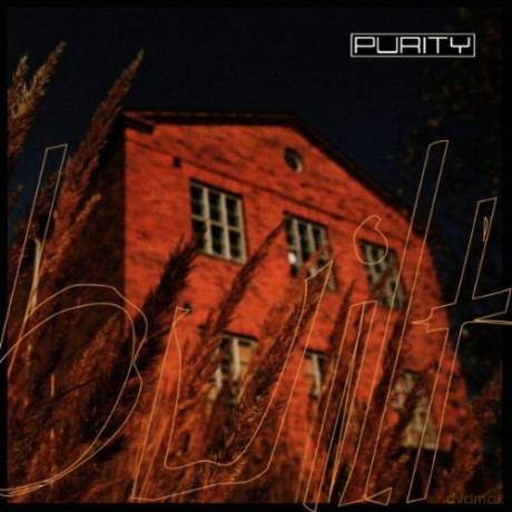 Purity: Built [CD]