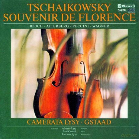 Pyotr Tchaikovsky: Musik Fuer Streicher [CD]