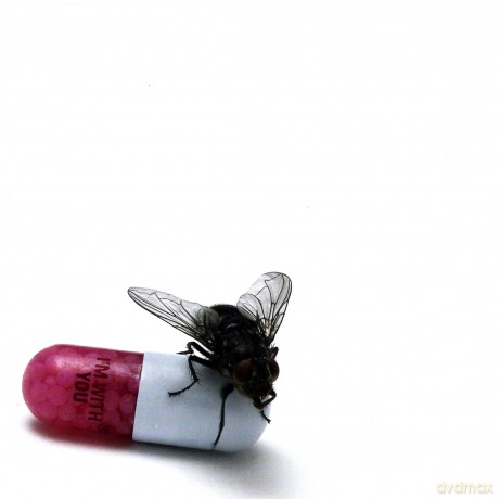 Red Hot Chili Peppers: I'm With You [CD]