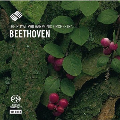 Royal Philharmonic Orchestra: Beethoven Symphonies No 2and8 [SACD]