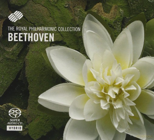 Royal Philharmonic Orchestra: Beethoven Violin Sonatas Nos 5 And 9 [SACD]