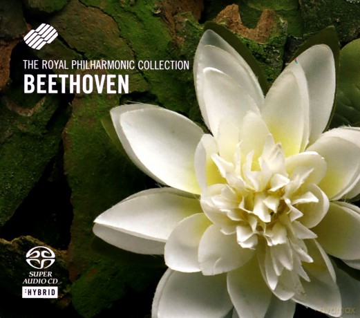 Royal Philharmonic Orchestra: Beethoven Violin Sonatas Nos 5 And 9 [SACD]