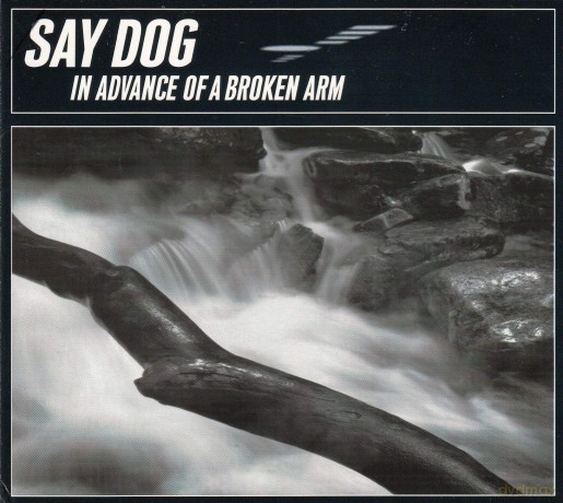 Say Dog: In Advance Of A Broken Arm [CD]