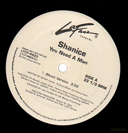 Shanice: You Need A Man [Winyl]