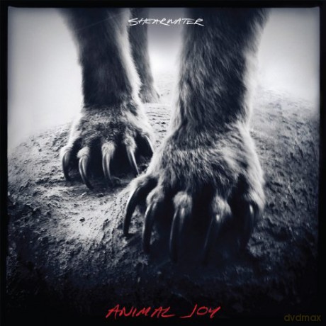 Shearwater: Animal Joy [CD]