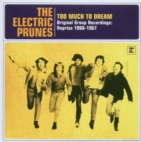 The Electric Prunes: Too Much To Dream-Orig.Group Recordings [2CD]