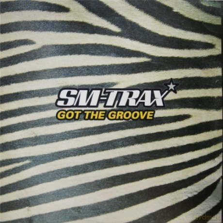 Sm Trax: Got The Groove [Winyl]