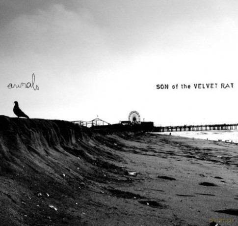 Son Of The Velvet Rat: Animals [CD]
