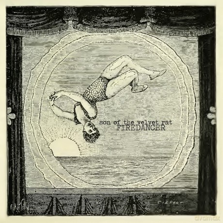 Son Of The Velvet Rat: Firedancer [CD]
