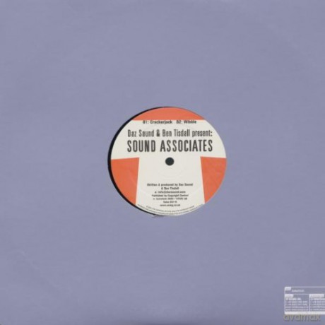 Sound Associates: Rise [Winyl]