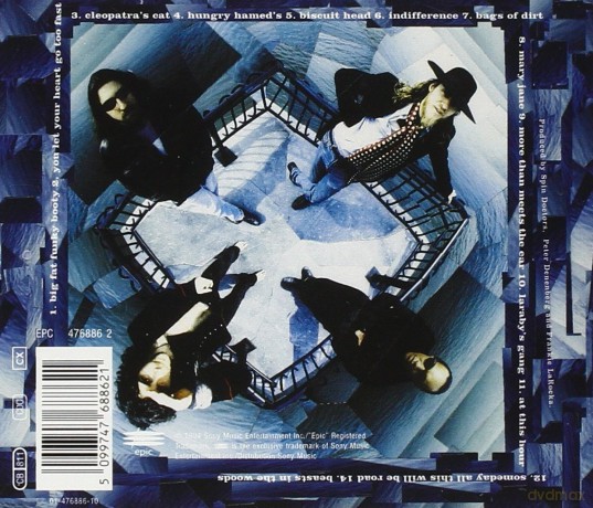 Spin Doctors: Turn It Upside Down [CD]