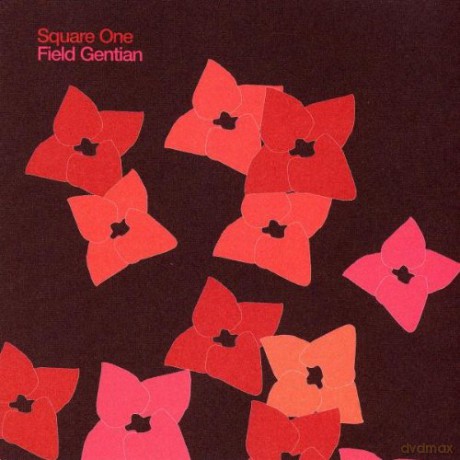 Square One: Field Gentian [CD]