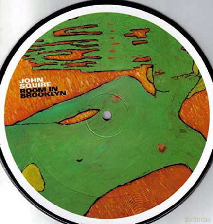 Squire John: Room In Brooklyn [Winyl]