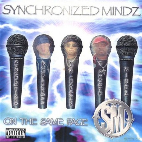 Synchronized Mindz: On The Same Page [CD]