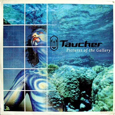 Taucher: Pictures Of The Gallery [2xWinyl]