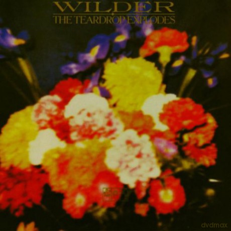 Teardrop Explodes: Wilder [CD]