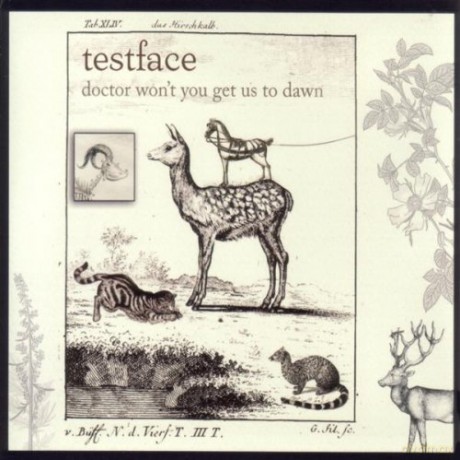 Testface: Doctor Won T You Get Us To Dawn [CD]