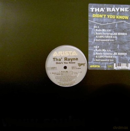 Tha Rayne: Didn T You Know [Winyl]