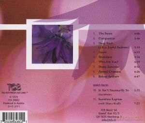 The Music Of Vince Benedetti: Joyful Sadness [CD]
