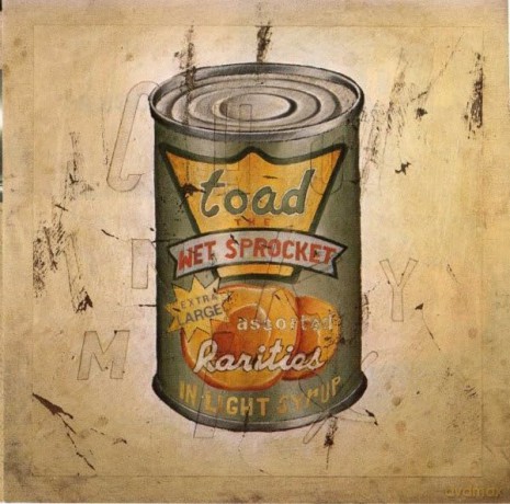 Toad The Wet Sprocket: In Light Syrup [CD]