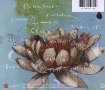 Toad The Wet Sprocket: Dulcinea [CD]