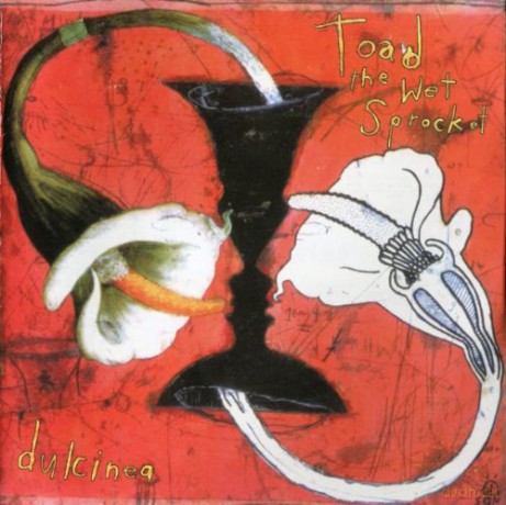 Toad The Wet Sprocket: Dulcinea [CD]