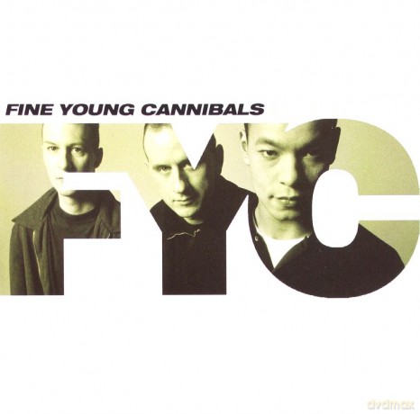 Fine Young Cannibals: Platinum The Collection [CD]
