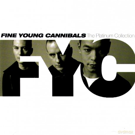 Fine Young Cannibals: Platinum The Collection [CD]
