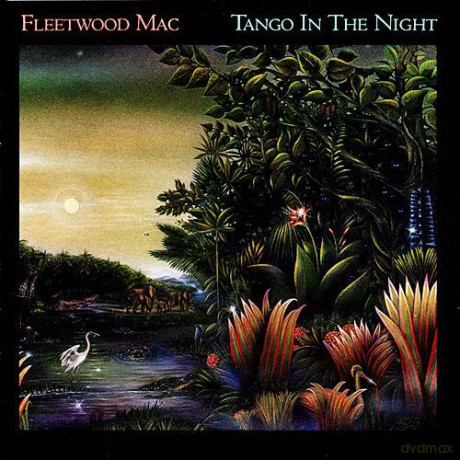 Fleetwood Mac: Tango In The Night [DVD]
