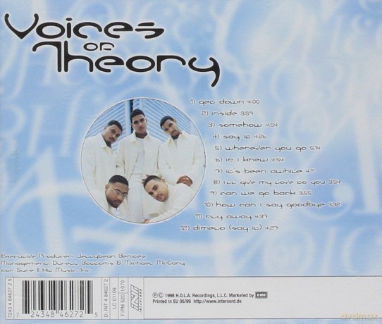 Voices Of Theory: Voices Of Theory [CD]