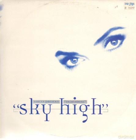 Voices Present Individual: Sky High [Winyl]