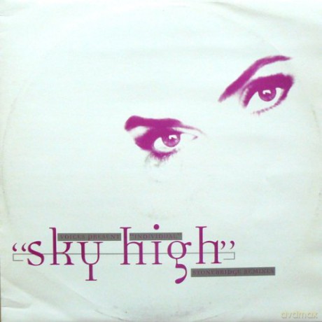 Voices Present Individual: Sky High - Stonebridge Remixes [Winyl]