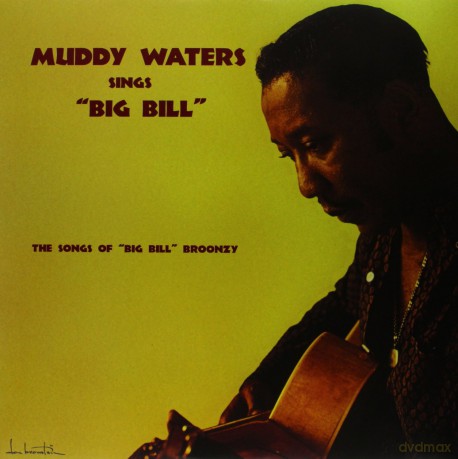Waters Muddy: Muddy Waters Sings Big Bill Broonzy [Winyl]
