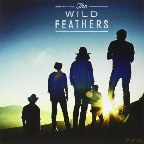 Wild Feathers: Got It Wrong - Rsd 2014 Release [Winyl]