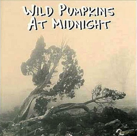 Wild Pumpkins At Midnight: The Secret Of The Sad Tree [CD]