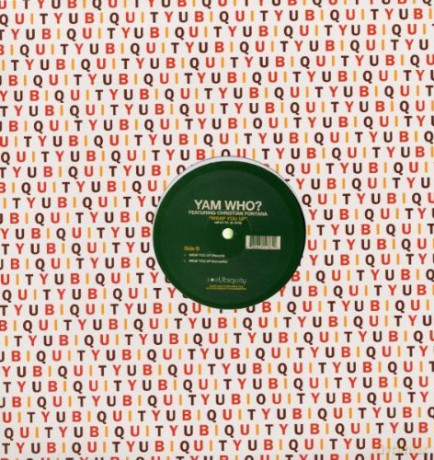 Yam Who & Fontana Christian: Wrap You Up [Winyl]